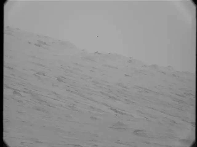 Sol 23: Mast Camera (Mastcam)