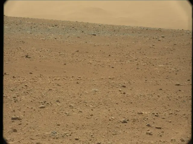 Sol 33: Mast Camera (Mastcam)