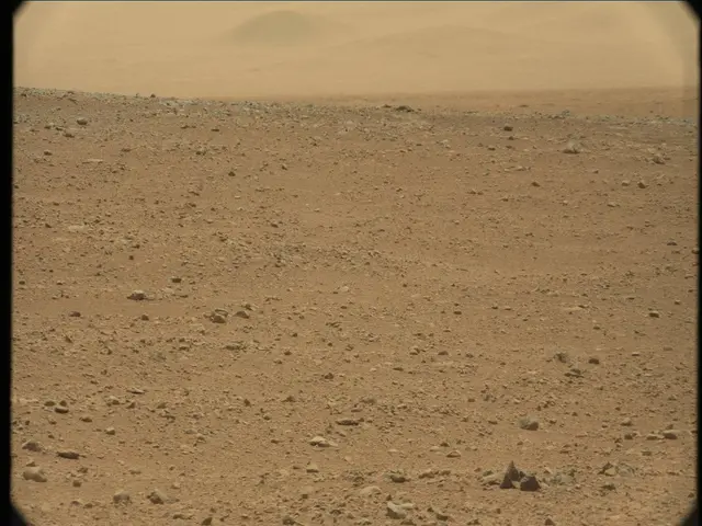 Sol 33: Mast Camera (Mastcam)