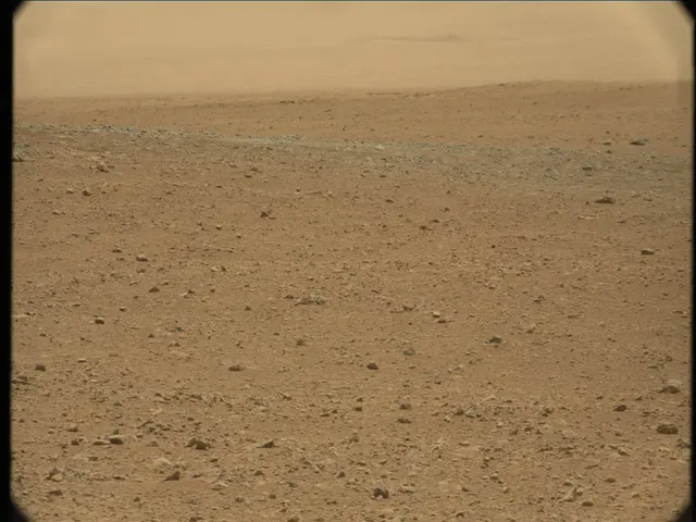 Sol 33: Mast Camera (Mastcam)