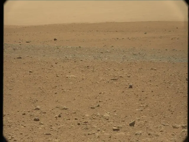 Sol 33: Mast Camera (Mastcam)