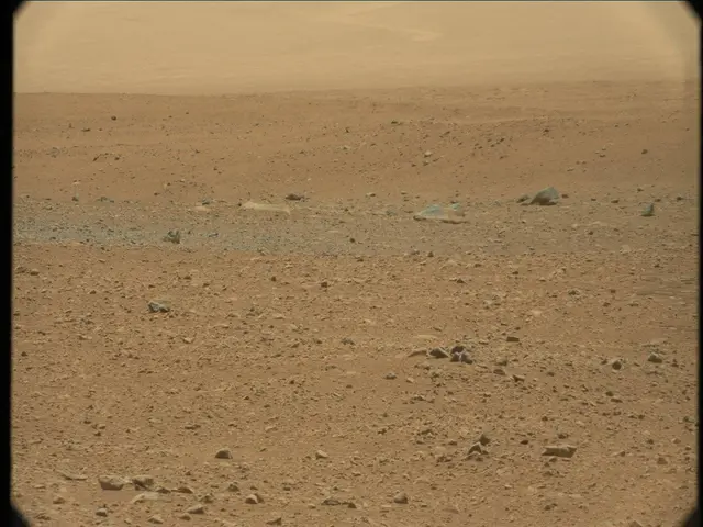 Sol 33: Mast Camera (Mastcam)