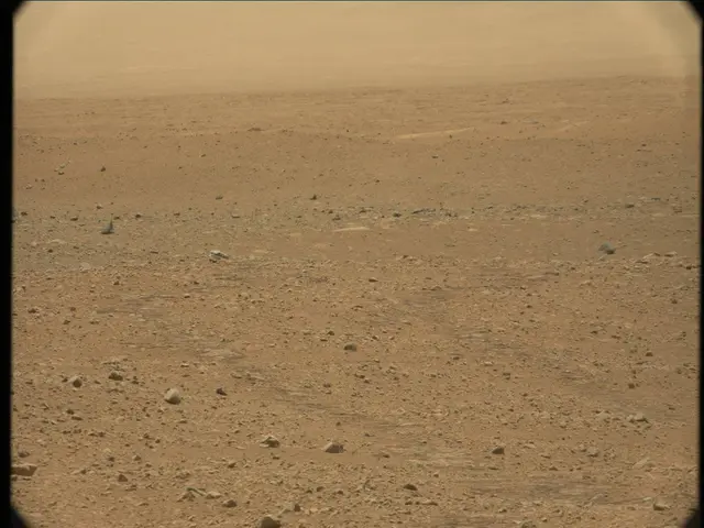 Sol 33: Mast Camera (Mastcam)