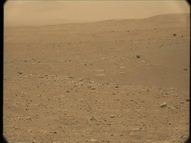 Sol 33: Mast Camera (Mastcam)