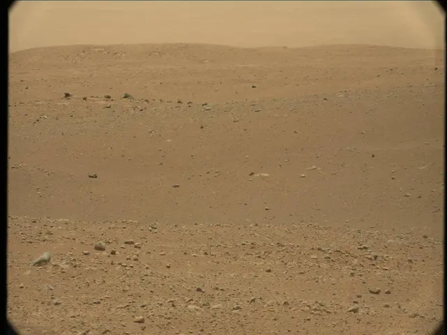 Sol 33: Mast Camera (Mastcam)