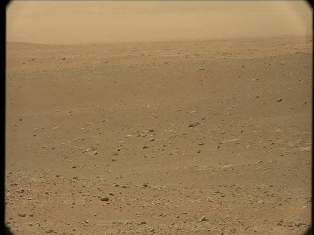 Sol 33: Mast Camera (Mastcam)