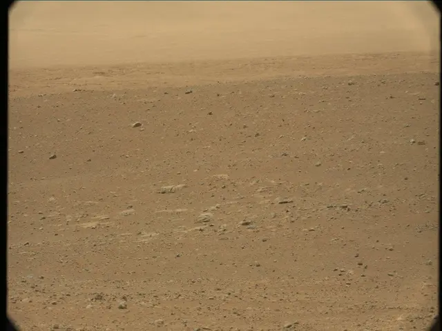 Sol 33: Mast Camera (Mastcam)