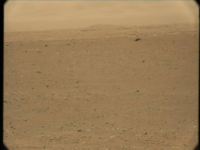 Sol 33: Mast Camera (Mastcam)