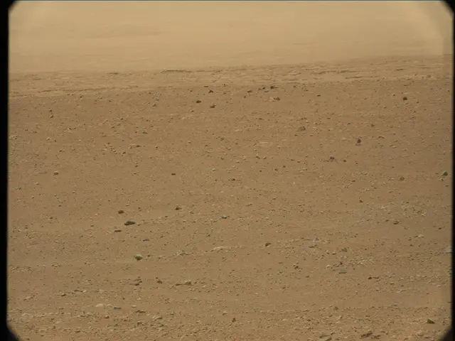 Sol 33: Mast Camera (Mastcam)