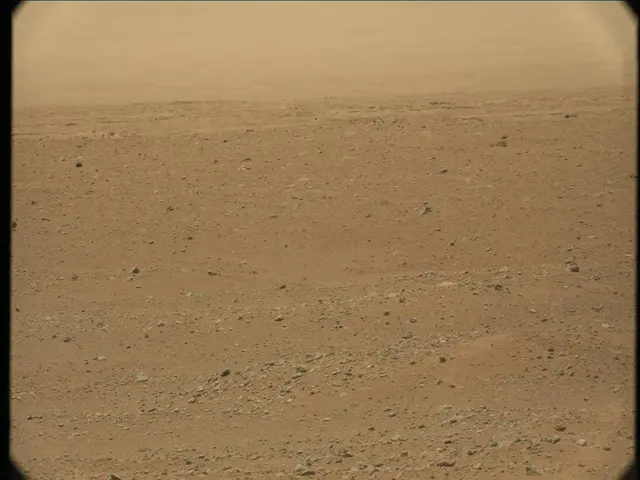 Sol 33: Mast Camera (Mastcam)