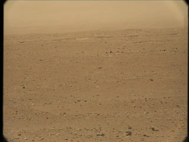 Sol 33: Mast Camera (Mastcam)