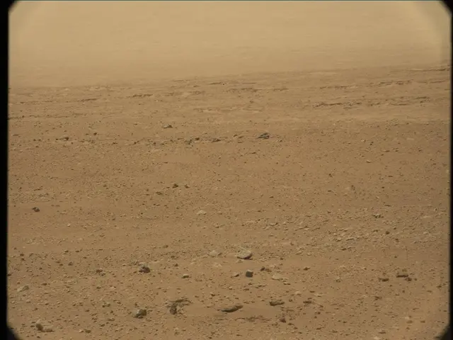 Sol 33: Mast Camera (Mastcam)
