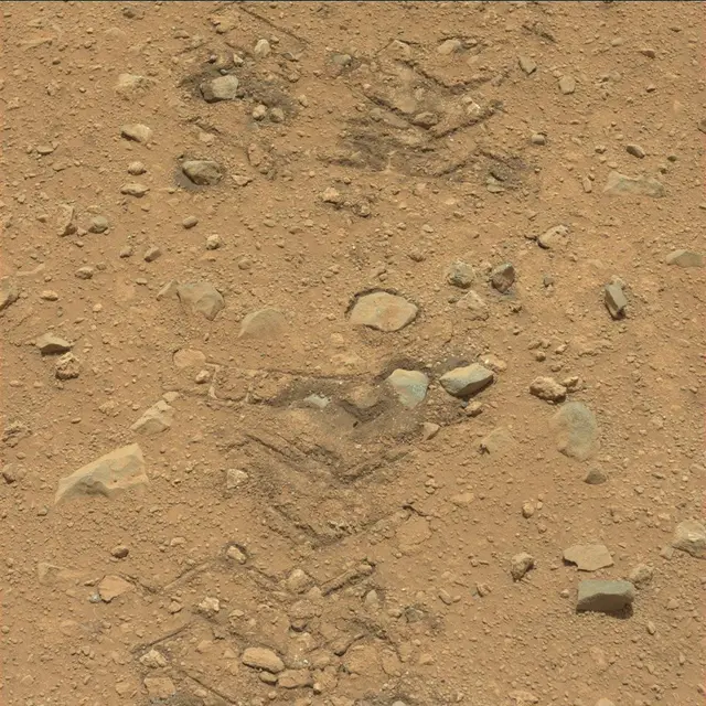 Sol 36: Mast Camera (Mastcam)