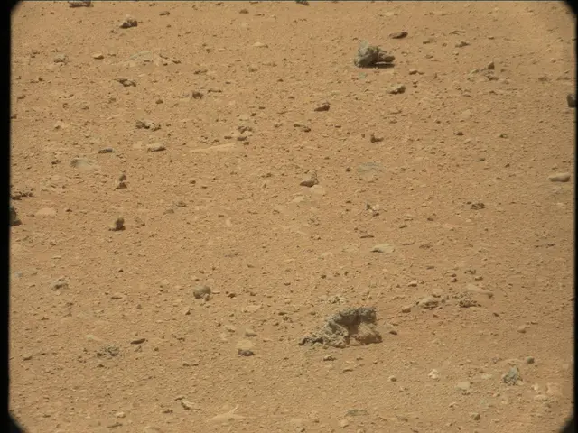 Sol 36: Mast Camera (Mastcam)