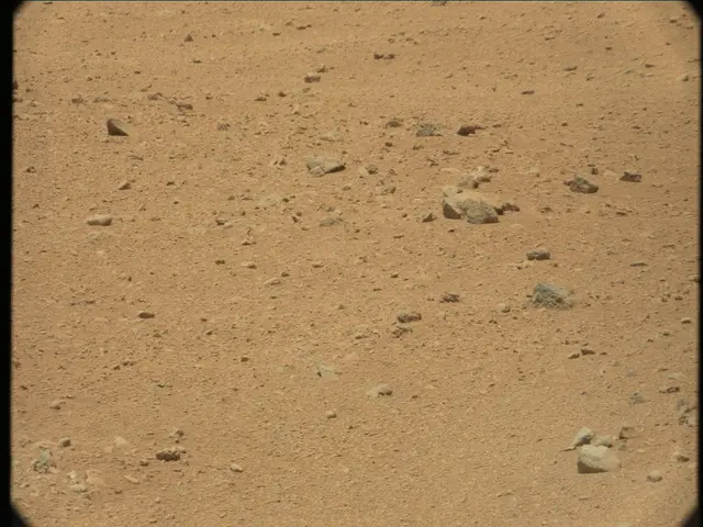 Sol 36: Mast Camera (Mastcam)