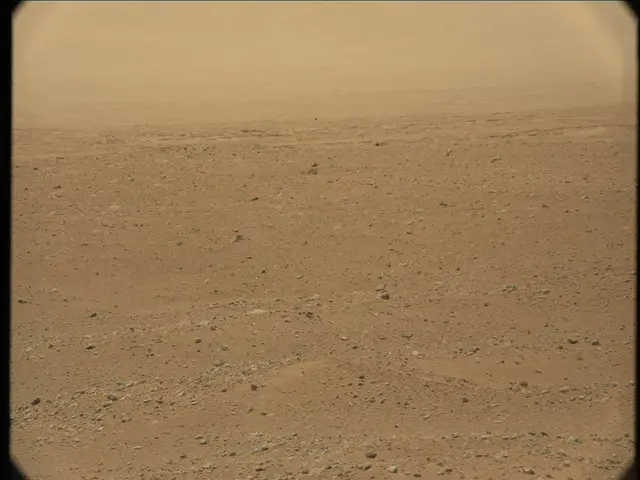 Sol 36: Mast Camera (Mastcam)