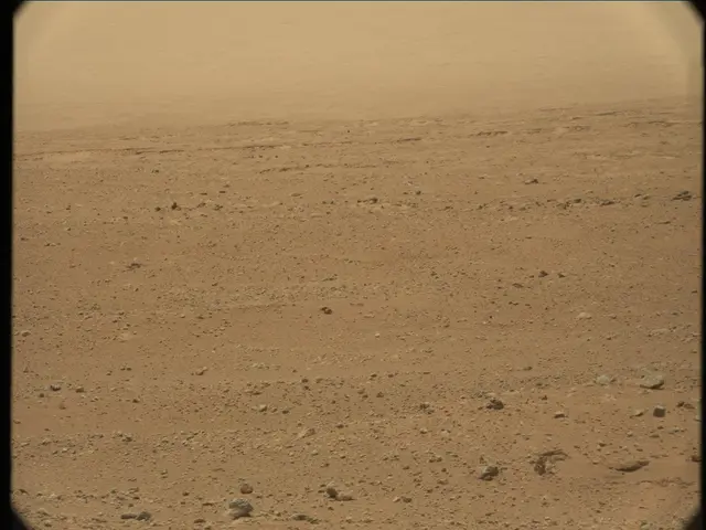 Sol 36: Mast Camera (Mastcam)