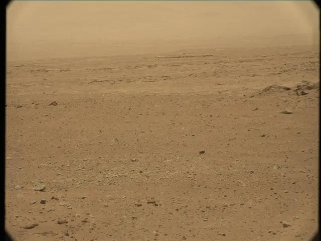 Sol 36: Mast Camera (Mastcam)