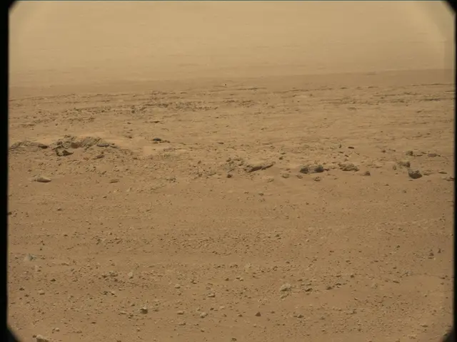 Sol 36: Mast Camera (Mastcam)