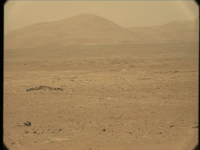 Sol 36: Mast Camera (Mastcam)