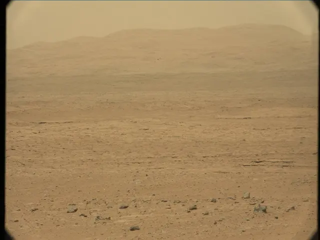 Sol 36: Mast Camera (Mastcam)