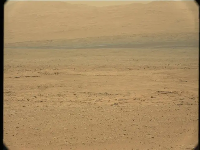 Sol 36: Mast Camera (Mastcam)