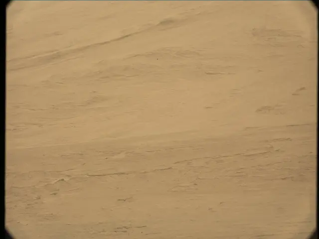Sol 36: Mast Camera (Mastcam)