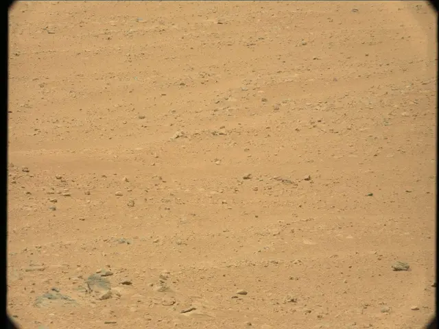 Sol 37: Mast Camera (Mastcam)