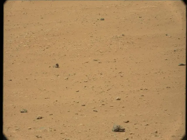 Sol 37: Mast Camera (Mastcam)