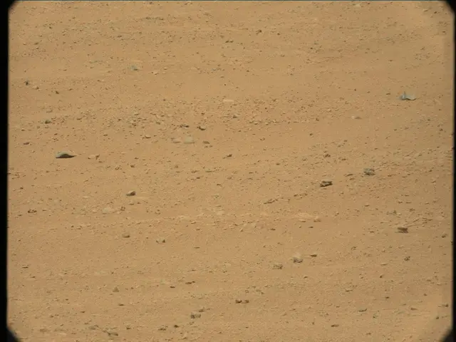 Sol 37: Mast Camera (Mastcam)