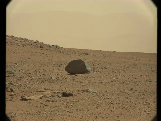 Sol 37: Mast Camera (Mastcam)