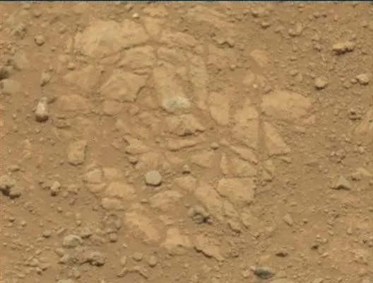Sol 38: Mast Camera (Mastcam)