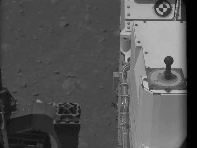 Sol 38: Mast Camera (Mastcam)