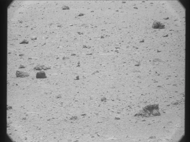 Sol 38: Mast Camera (Mastcam)