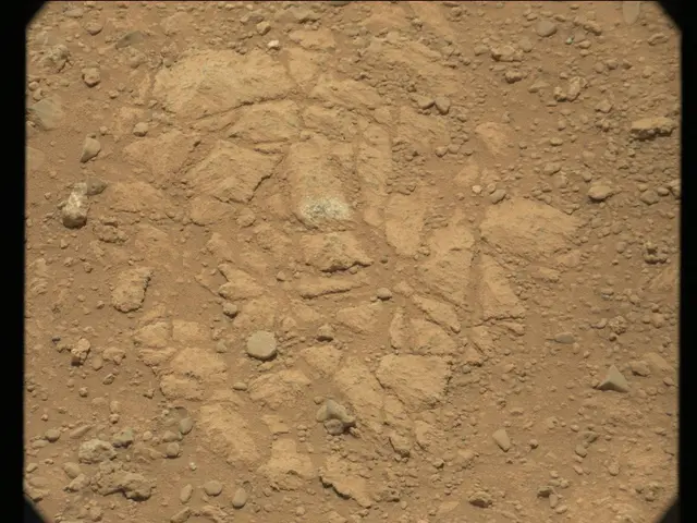 Sol 38: Mast Camera (Mastcam)