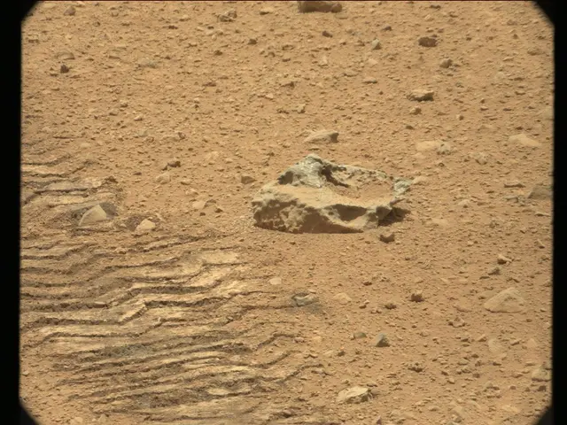 Sol 38: Mast Camera (Mastcam)
