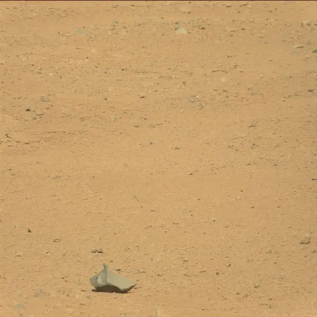 Sol 38: Mast Camera (Mastcam)
