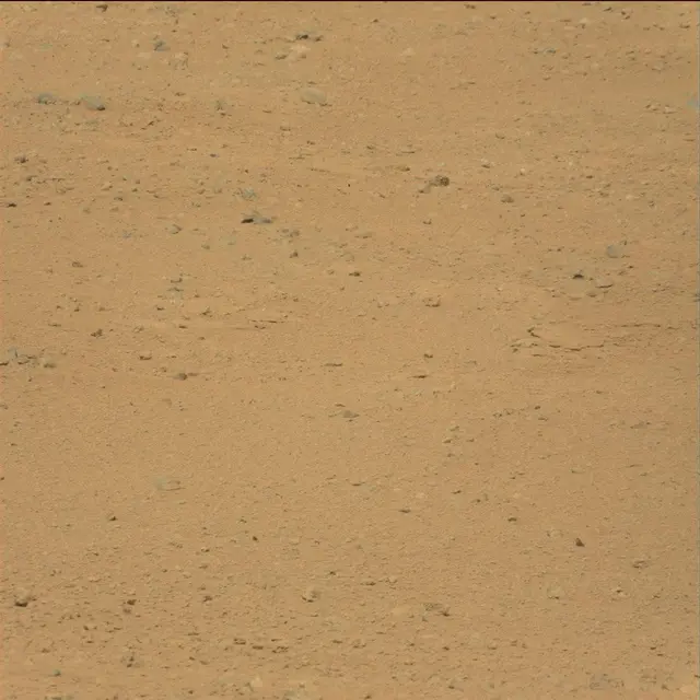 Sol 38: Mast Camera (Mastcam)