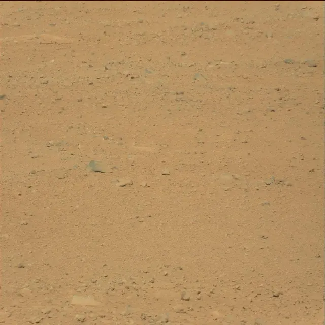 Sol 38: Mast Camera (Mastcam)