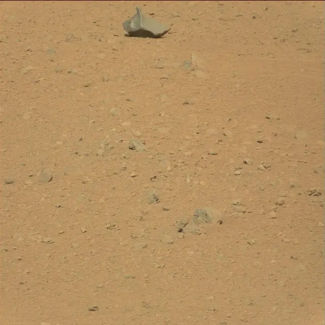Sol 38: Mast Camera (Mastcam)