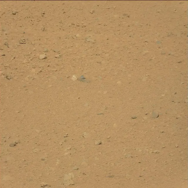 Sol 38: Mast Camera (Mastcam)