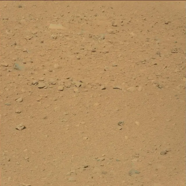 Sol 38: Mast Camera (Mastcam)