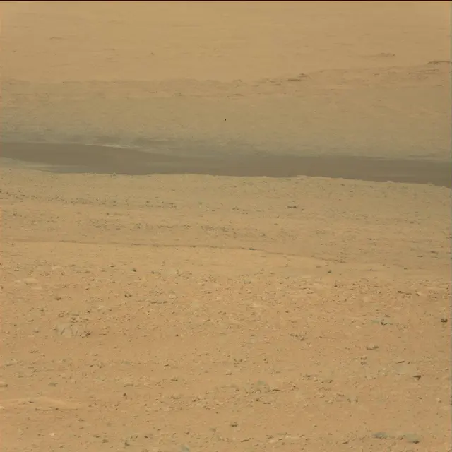 Sol 38: Mast Camera (Mastcam)