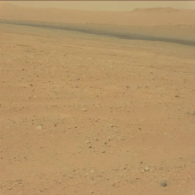 Sol 39: Mast Camera (Mastcam)