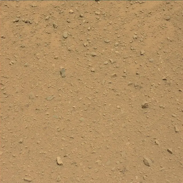Sol 39: Mast Camera (Mastcam)