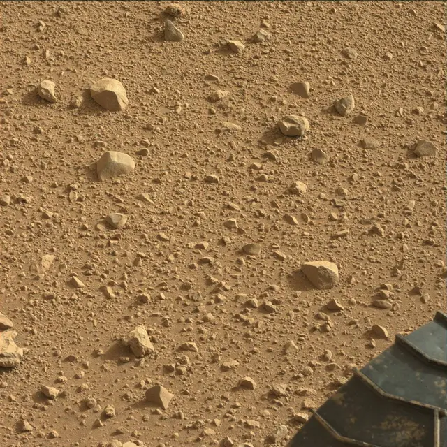 Sol 39: Mast Camera (Mastcam)