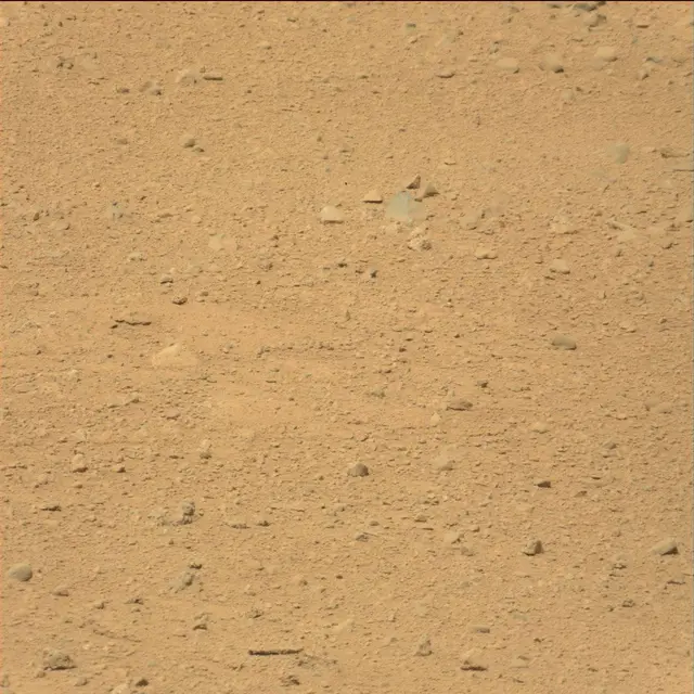 Sol 39: Mast Camera (Mastcam)