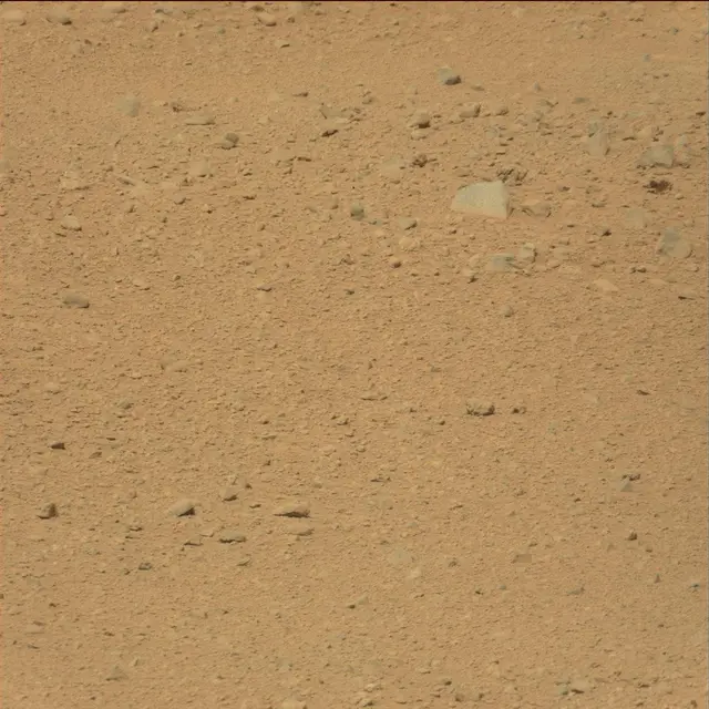 Sol 39: Mast Camera (Mastcam)