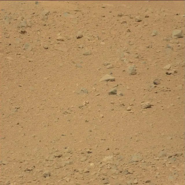 Sol 39: Mast Camera (Mastcam)
