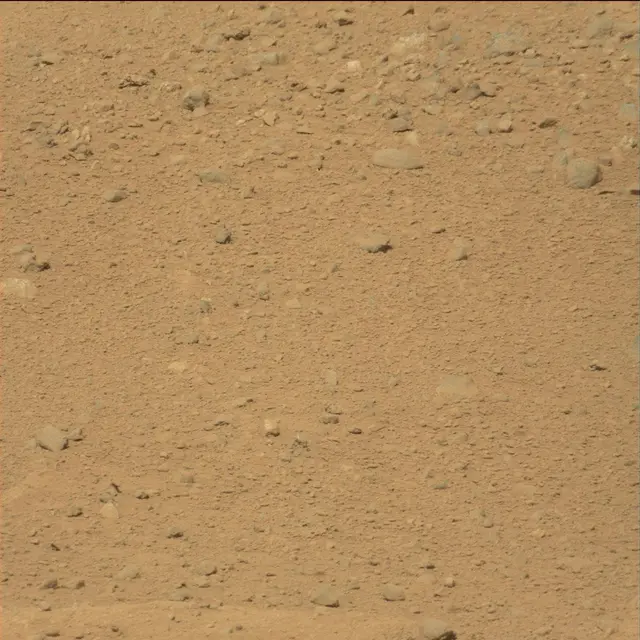 Sol 39: Mast Camera (Mastcam)